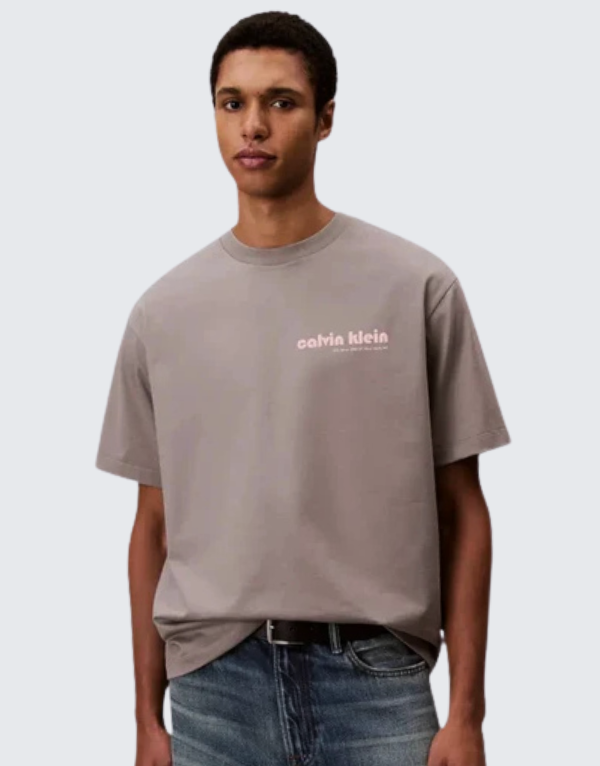 Calvin Klein Bauhaus Graphic Short Sleeve T-Shirt Grey Men
