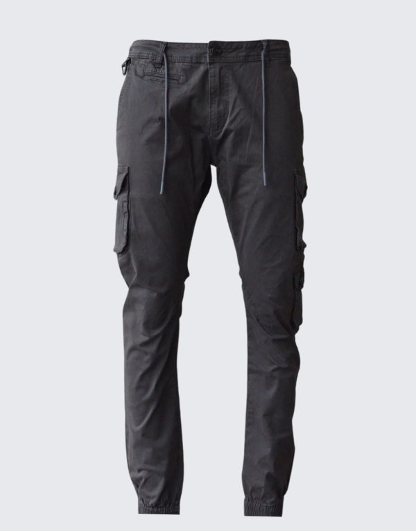 Pure Premium Gentrix Cargo Pants In Grey