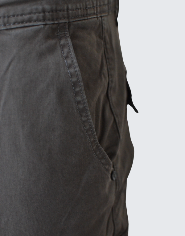 Pure Premium Gentrix Cargo Pants In Grey