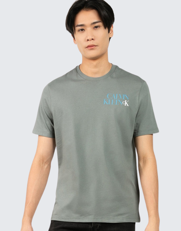 Calvin Klein Eu Word Stack Short Sleeve T-Shirt In Grey Men