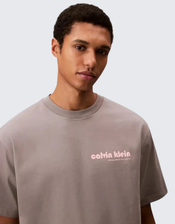 Calvin Klein Bauhaus Graphic Short Sleeve T-Shirt Grey Men