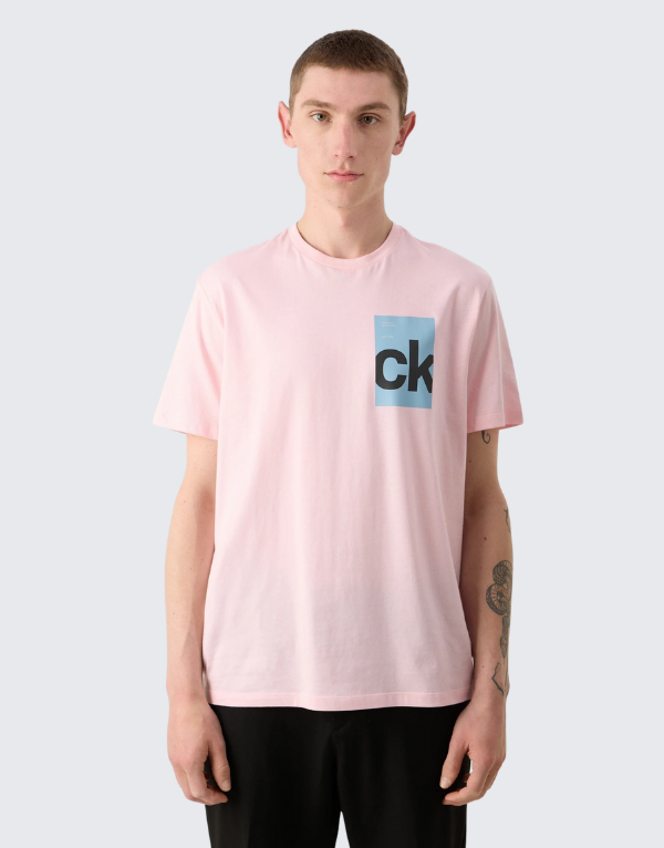 Calvin Klein Box Graphic Short Sleeve T-Shirt Rose Men