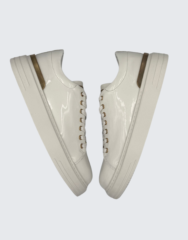 Palzini Sneakers In White Men