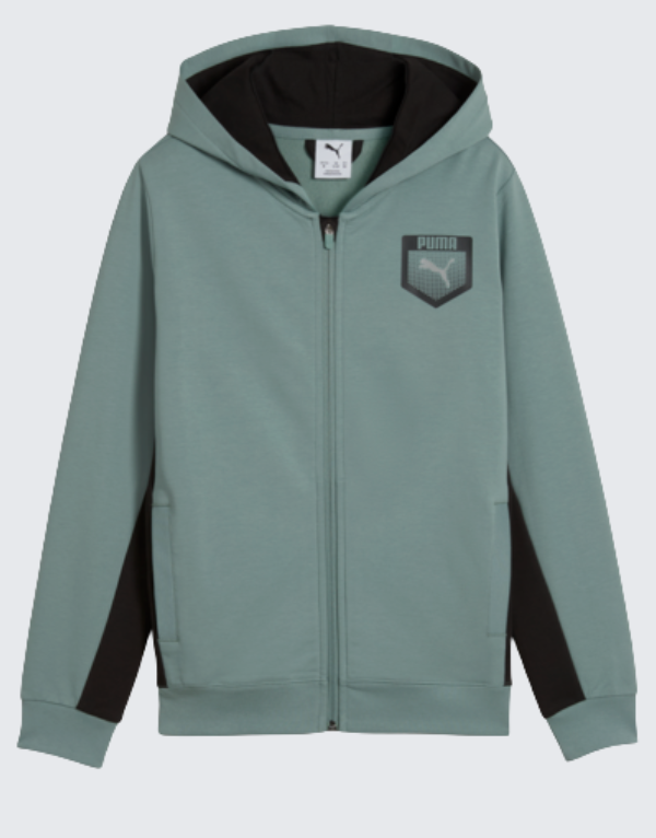 Puma Active Sports Graphic Hoodie In Green Men