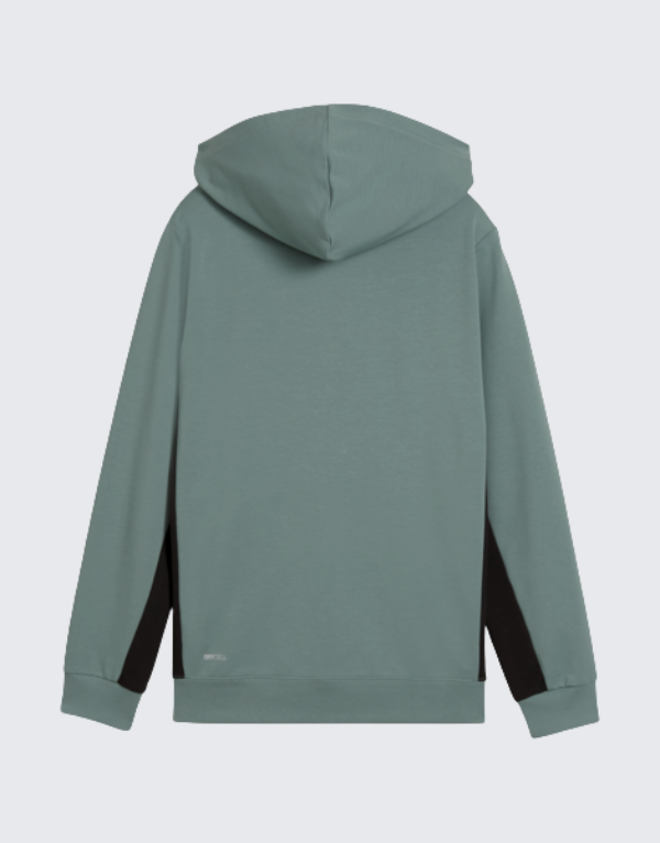 Puma Active Sports Graphic Hoodie In Green Men