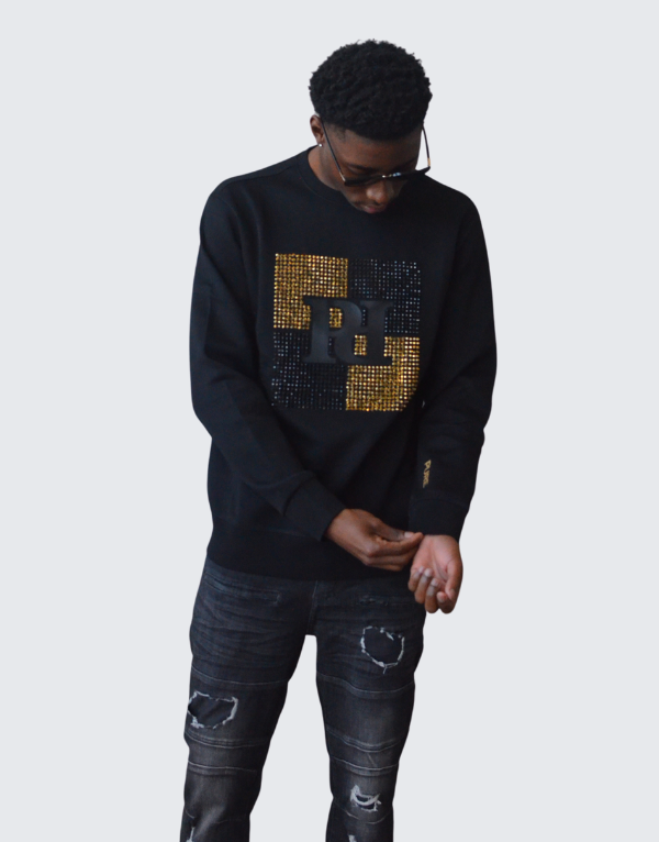 Pure Premium Bobbio Sweater In Black Men
