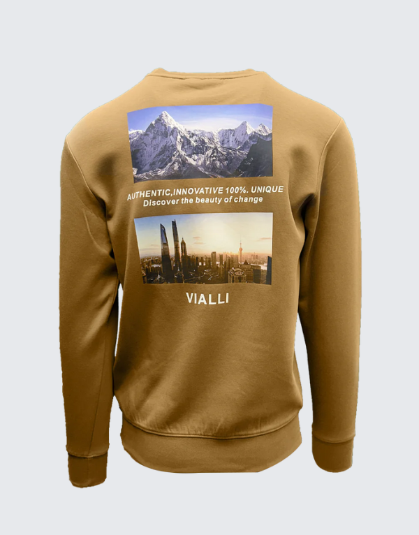 Vialli Grownner Sweater In Brown Men